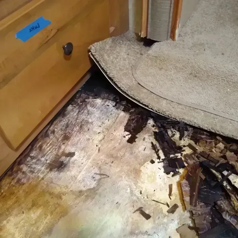 Best Wood Floor Water Damage Service in Wernersville, PA